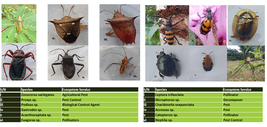 Gis Insect Delta Systematics | Environmental Consulting & GIS Solutions